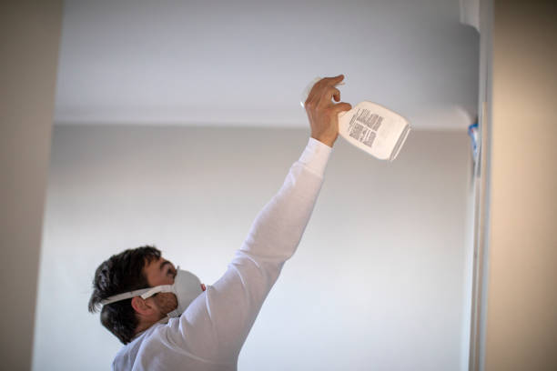 Best DIY Mold Remediation Support Services in Aurora, IL
