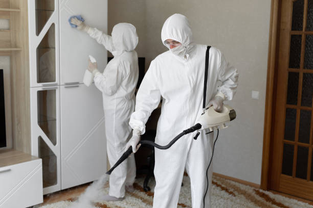 Best Industrial Mold Remediation in Aurora, IL
