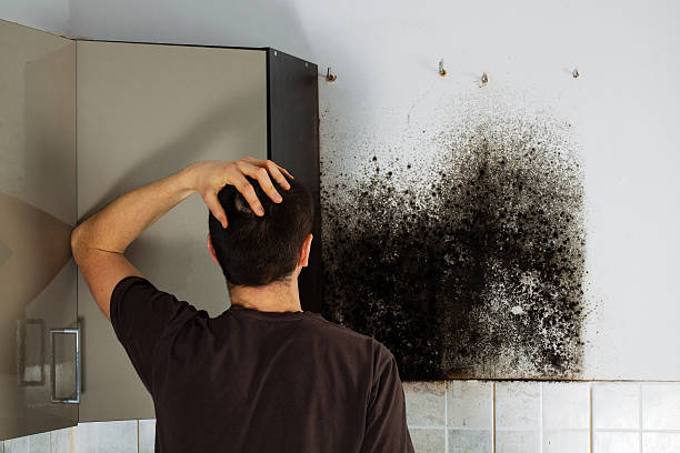 Aurora, IL Mold Remediation Company